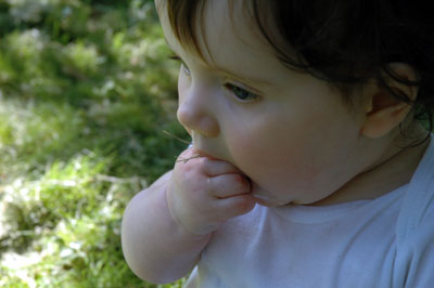 grass3.jpg