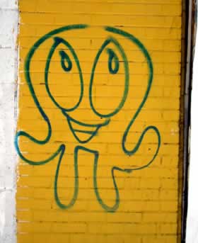 octo11small.jpg
